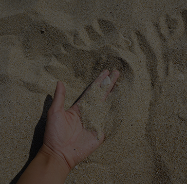 ◎虎鲨漆：特殊的观感和触感，引人注目</br>
◎砂面漆：触感柔和，砂粒滑润，体会凹凸不平的细腻手感