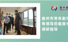 崇州市常务副市长王峰、管委会主任徐剑等领导莅临美中美涂料调研指导